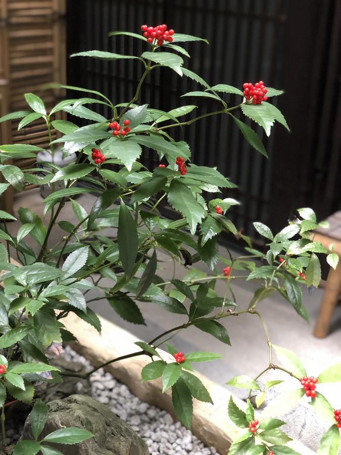 Naokonoza Omiya Gojo Villa Kyoto Dış mekan fotoğraf